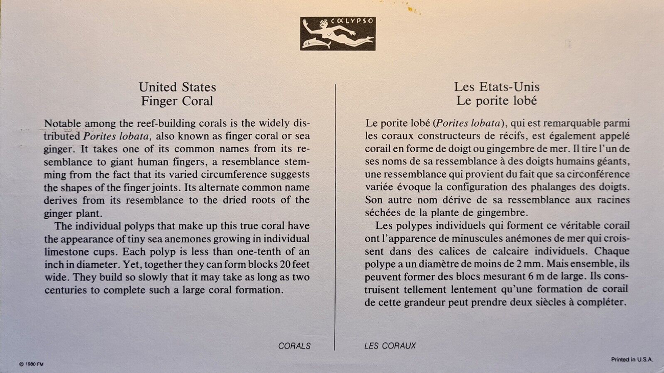 U.S. Scott #1830 -- Cousteau Society (back) U.S. Scott #1830 -- Cousteau Society (back)