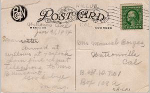 U.S. Scott #2420 - on Picture Postcard