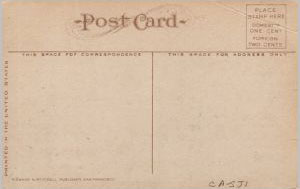U.S. Scott #2420 - on Picture Postcard